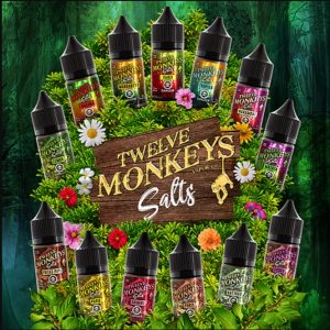 12-Monkeys-nic-salts-uk