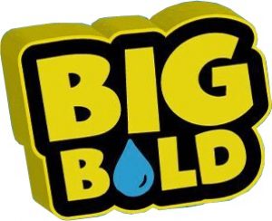 Big Bold E-liquid 100ml Logo