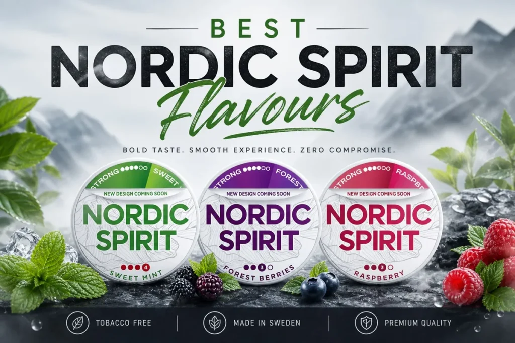 Best Nordic Spirit Flavours Nic Pouches
